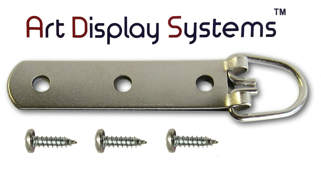 Heavy Duty D-Ring Picture Hangers - 100 Pack - 2 Hole with Screws - Picture  Hang Solutions