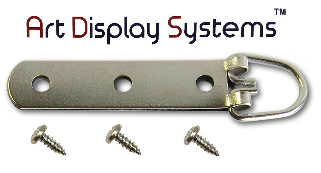 ADS 1 Hole Triangle ZP D-Ring Hanger with 6 3/8 Screws – Pro Quality – –  ADS ART DISPLAY SYSTEMS